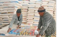 Мука пшеничная 1 сорт, высший сорт оптом. - Изображение #3, Объявление #1413058
