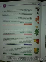 Продаю Биостимуляторы и специальные удобрения - Изображение #4, Объявление #1610255