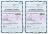 Миграционные сервис - Изображение #2, Объявление #1637090