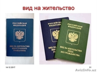 Миграционные сервис - Изображение #6, Объявление #1637090