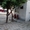 срочная продажа! продается дом в центре города Андижан, цена договорная,звоните  - Изображение #3, Объявление #1726408