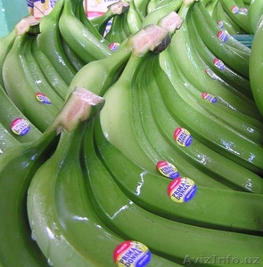 бананы производство и продажа - Изображение #2, Объявление #618582