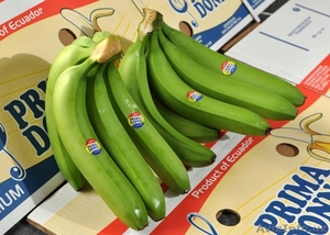 бананы производство и продажа - Изображение #1, Объявление #618582