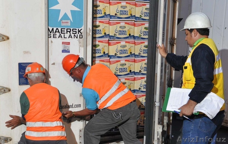 бананы производство и продажа - Изображение #3, Объявление #618582